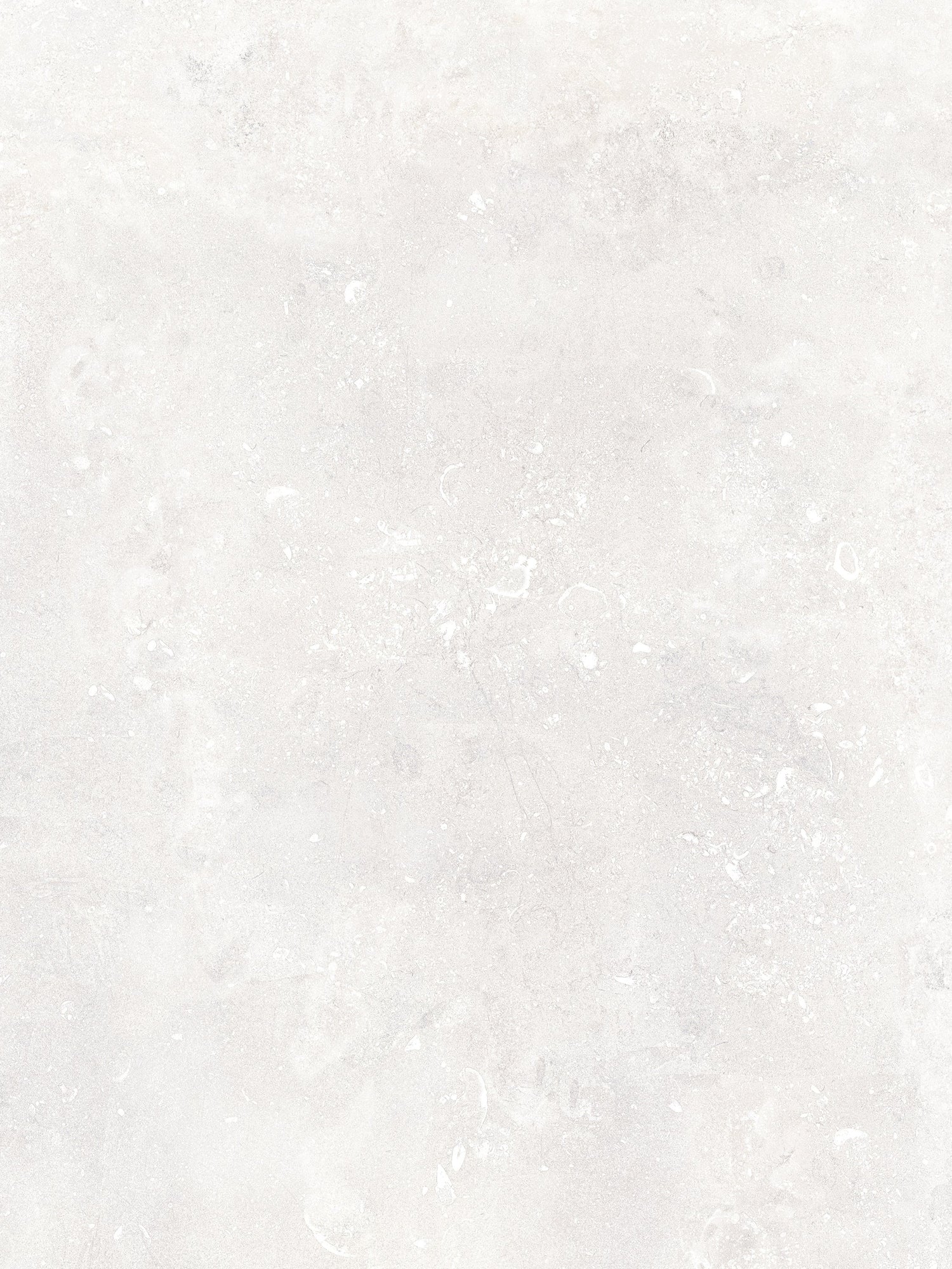 Keramische tegel 100x100 cm Absolute Bianco