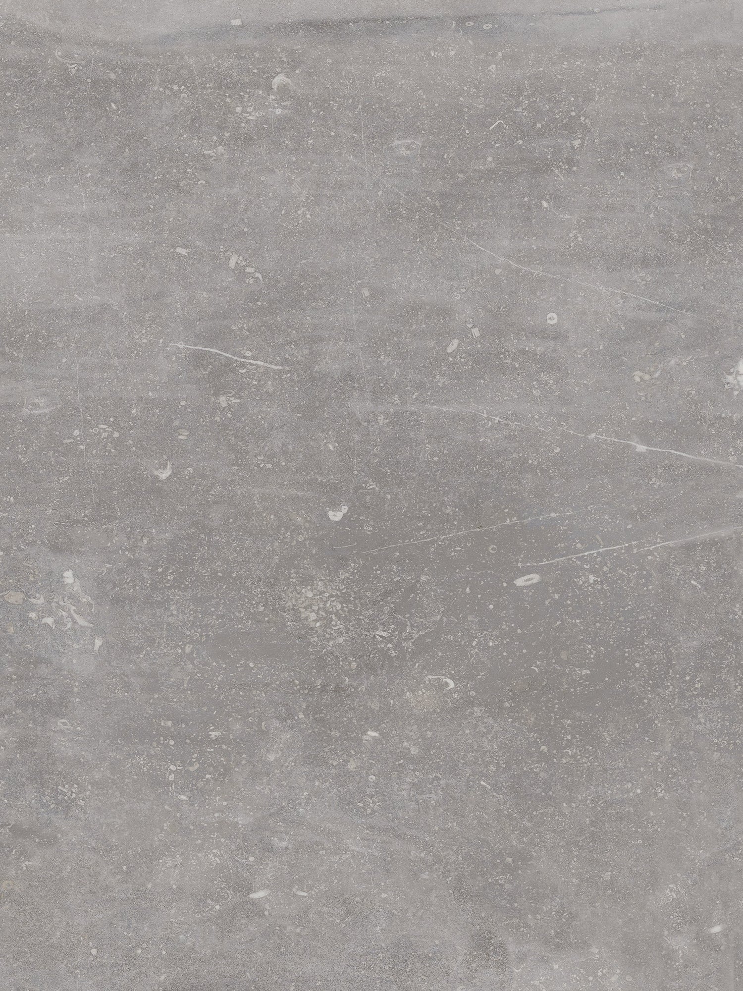 Keramische tegel 100x100 cm Absolute Titanio