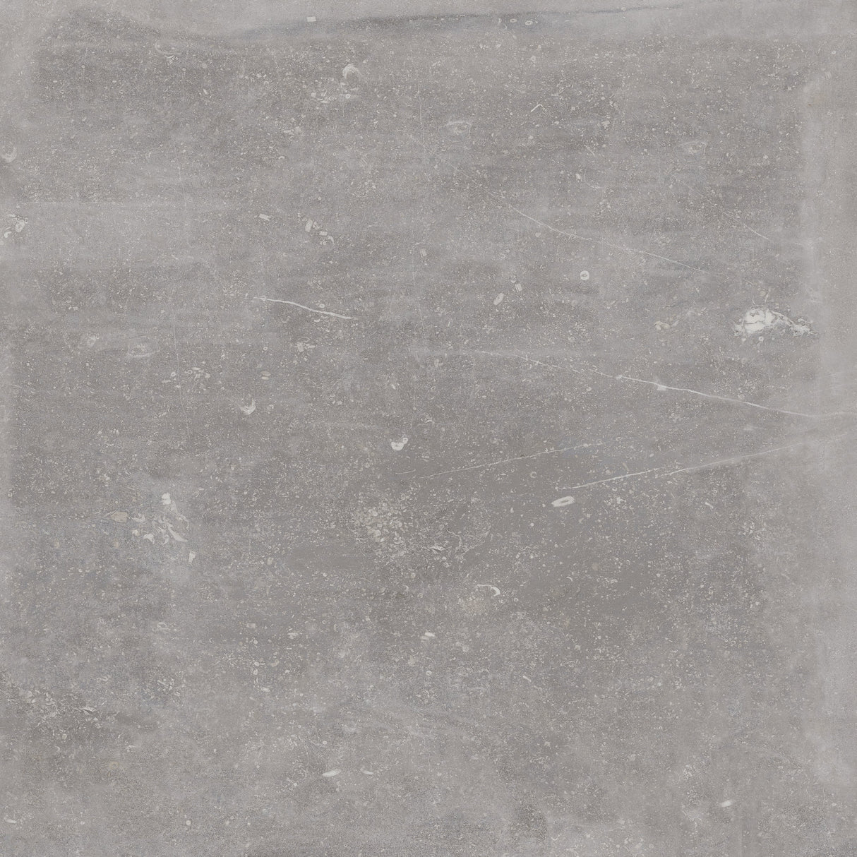 Keramische tegel 100x100 cm Absolute Titanio