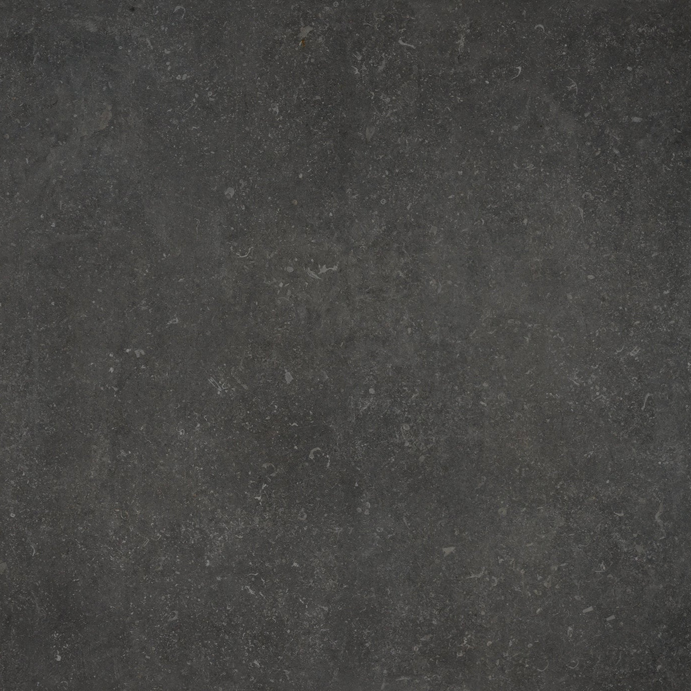 Keramische tegel 100x100 cm Fuori Dark Blue