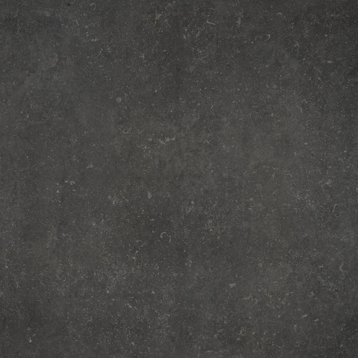 Keramische tegel 100x100 cm Fuori Dark Blue