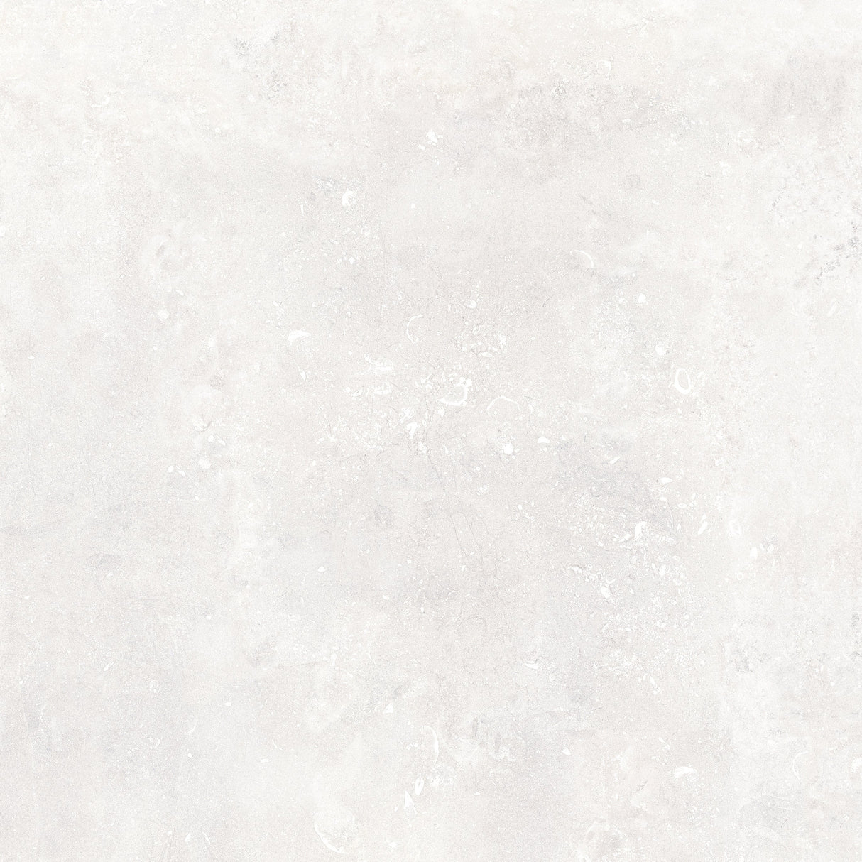Keramische tegel 100x100 cm Absolute Bianco