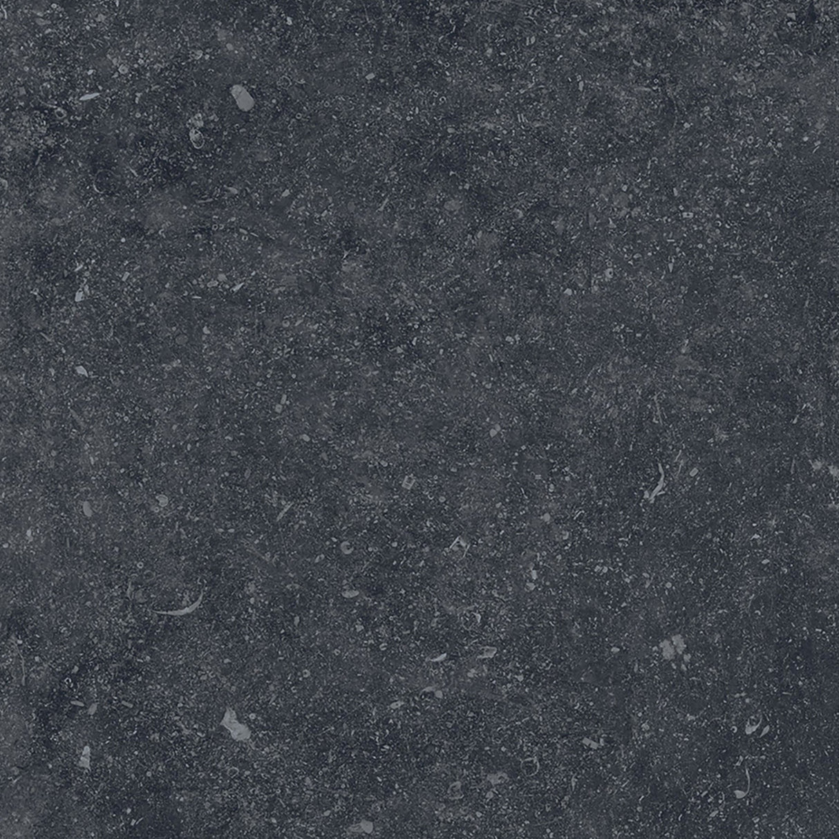 Keramische tegel 60x60 cm Brussels Black
